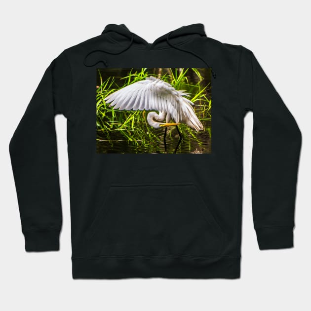 Great White Egret Hoodie by joesaladino